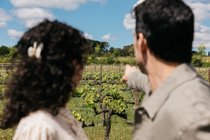 Familia Torres Winery: Gastronomic Tapas & Wine Experience - Four guided pours: vermouth, sparkling, white, and red