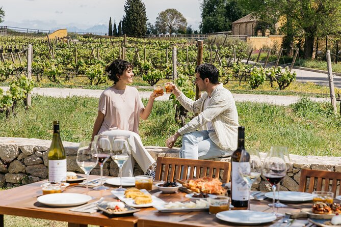 Familia Torres Winery: Gastronomic Tapas & Wine Experience - Winery shop time: turn tasting into bottles you’ll use back home
