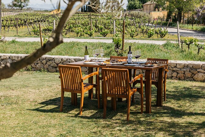 Familia Torres Winery: Gastronomic Tapas & Wine Experience - Who should book this Familia Torres tapas and wine experience