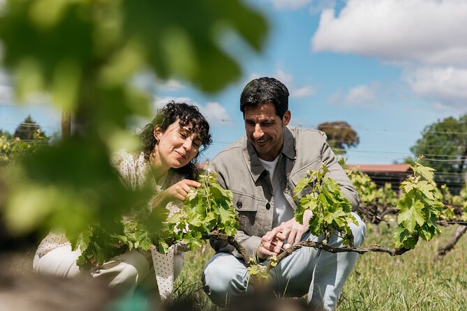 Familia Torres Winery: Gastronomic Tapas & Wine Experience - Meeting at Estació del Nord, then settling into the Penedès ride