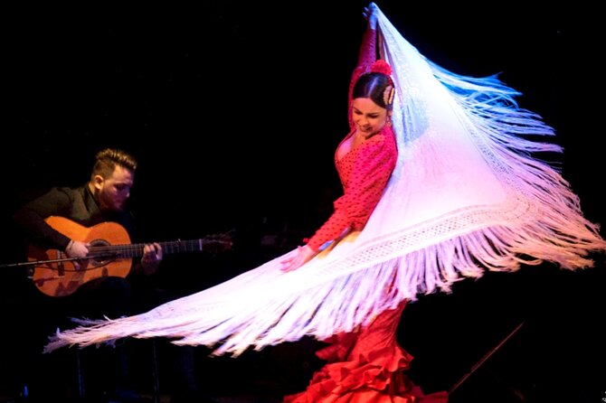 Flamenco Show at Dalmases Palace in Barcelona - Who should book this flamenco show