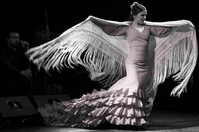 Flamenco Show Ticket at Theatre Barcelona City Hall - Who should book this show (and who should think twice)