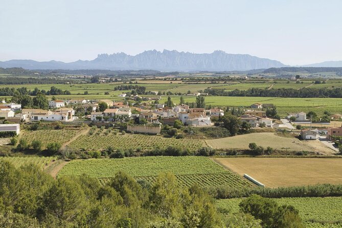 Food and Wine Small Group Tour from Barcelona - Maximum 8 people - Key highlights at a glance