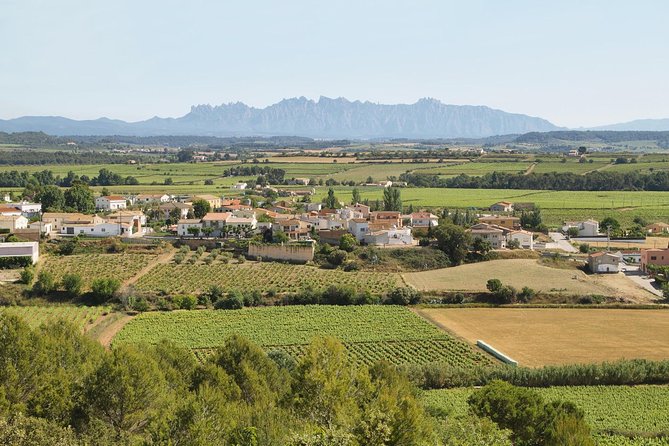 Food and Wine Small Group Tour from Barcelona - Maximum 8 people - Penedés cava country: subterranean cellars and a four-tasting finale