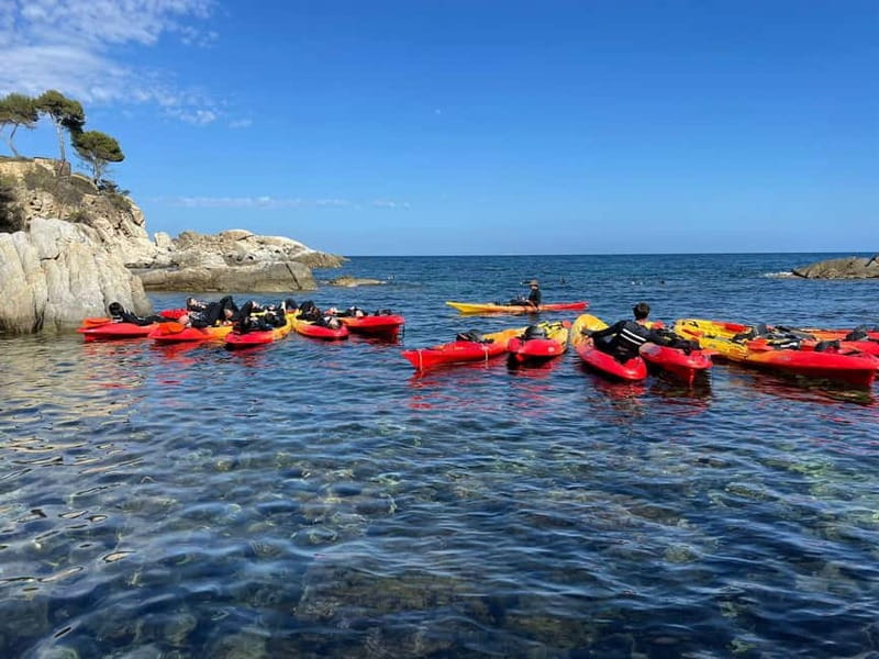 From Barcelona: Costa Brava Kayak & Snorkel Tour with Picnic - Guides make or break the day, and this one is heavy on people power