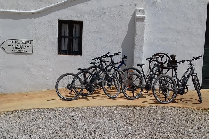 From Barcelona: E-Bike Tour in the vineyards with 2 Wineries - Winery stop 1 at Suriol del Castell de Grabuac: organic wines and cava tasting