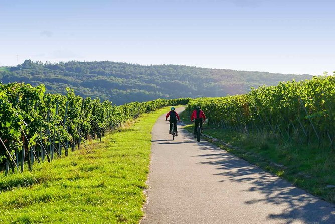 From Barcelona: E-Bike Tour in the vineyards with 2 Wineries - Vilafranca del Penedès pickup: where the day gets organized