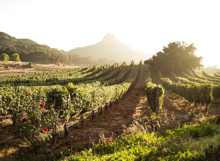 From Barcelona: Half-Day Trip to Montserrat Mountain - Lookout Points and Panoramic Views You Can Actually Enjoy