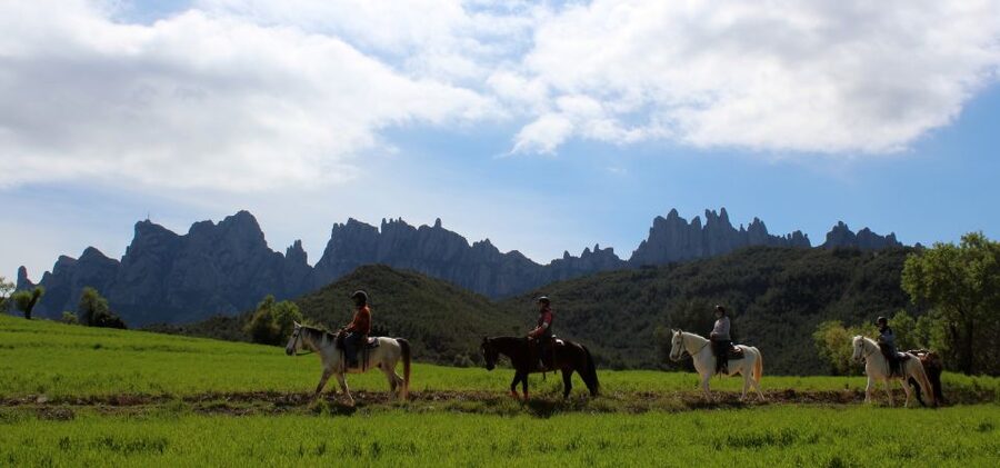 From Barcelona: Horseback Tour in Montserrat National Park - The ranch reset: restrooms, meet the horses, and photo breaks