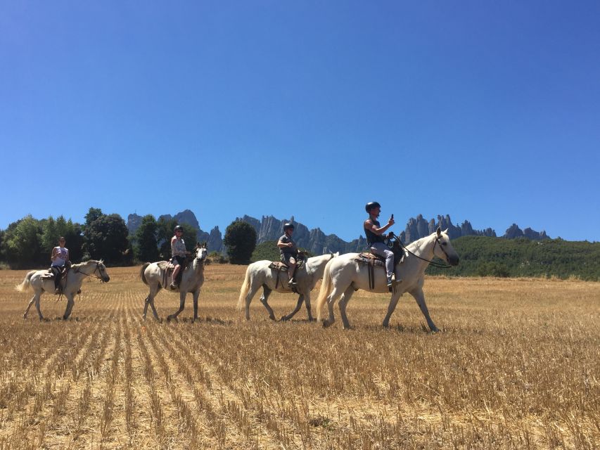 From Barcelona: Horseback Tour in Montserrat National Park - Inside Montserrat Monastery: Romanesque to Renaissance in a mountain setting