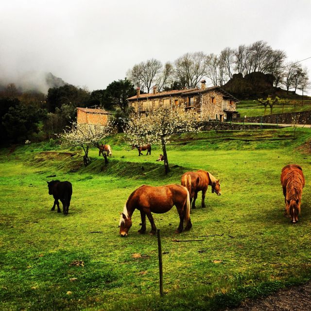 From Barcelona: Medieval Villages and Volcanic Hiking Tour - Getting From Passeig de Gràcia to La Garrotxa in an Air-Conditioned Minivan
