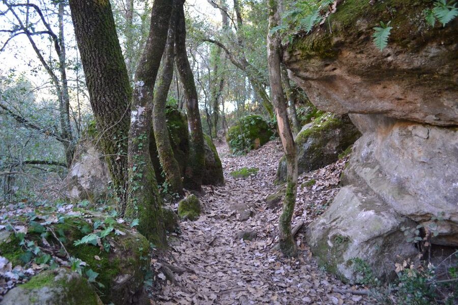 From Barcelona: Medieval Villages and Volcanic Hiking Tour - The La Garrotxa Volcanic Zone Hike: Following Three Lava Flows