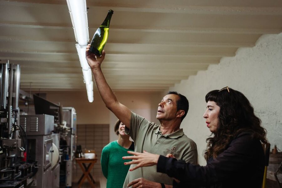 From Barcelona: Montserrat & Cava Winery Day Trip - Price and Value: Why $211 Can Make Sense