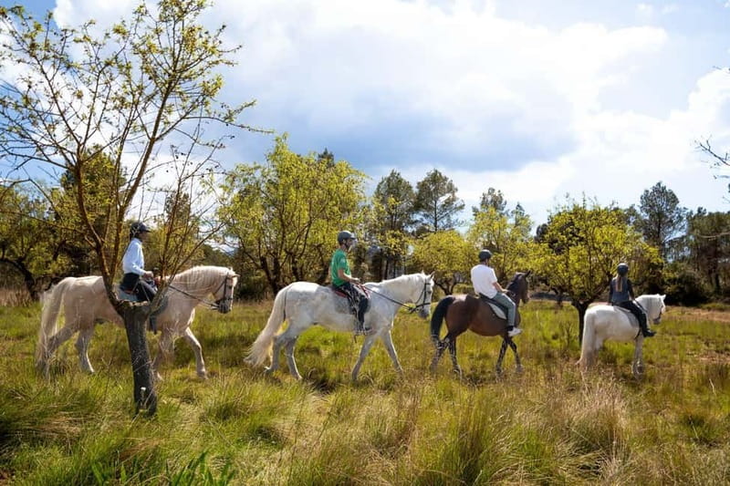 From Barcelona: Montserrat Walking and Horseback Riding Tour - Key points to know before you go