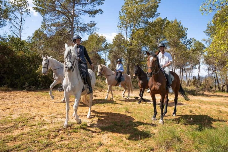 From Barcelona: Montserrat Walking and Horseback Riding Tour - My booking call: should you do this Montserrat day trip?