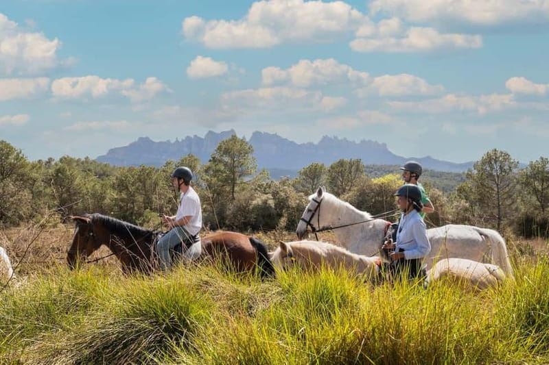 From Barcelona: Montserrat Walking and Horseback Riding Tour - Who should book, and who might prefer something else