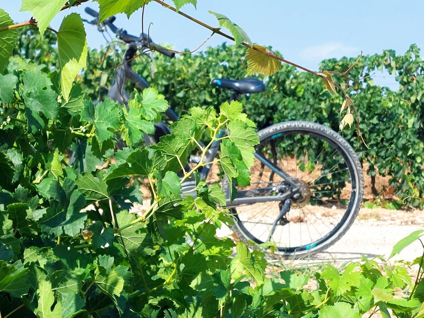 From Barcelona: Penedès E-Bike Tour with 2 Winery Visits - Getting to Vilafranca: Sants meet-up, bus timing, and how not to stress