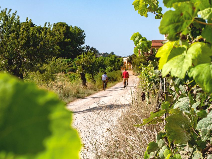 From Barcelona: Penedès E-Bike Tour with 2 Winery Visits - Premium bikes and the Montserrat-view ride you actually look forward to