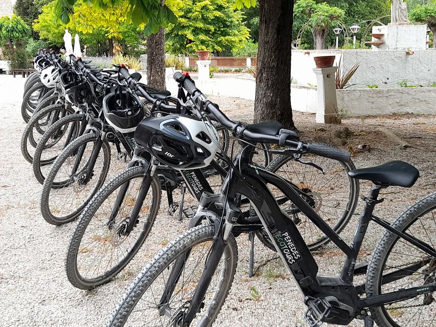 From Barcelona: Penedès E-Bike Tour with 2 Winery Visits - Timeline and what you do after the tastings