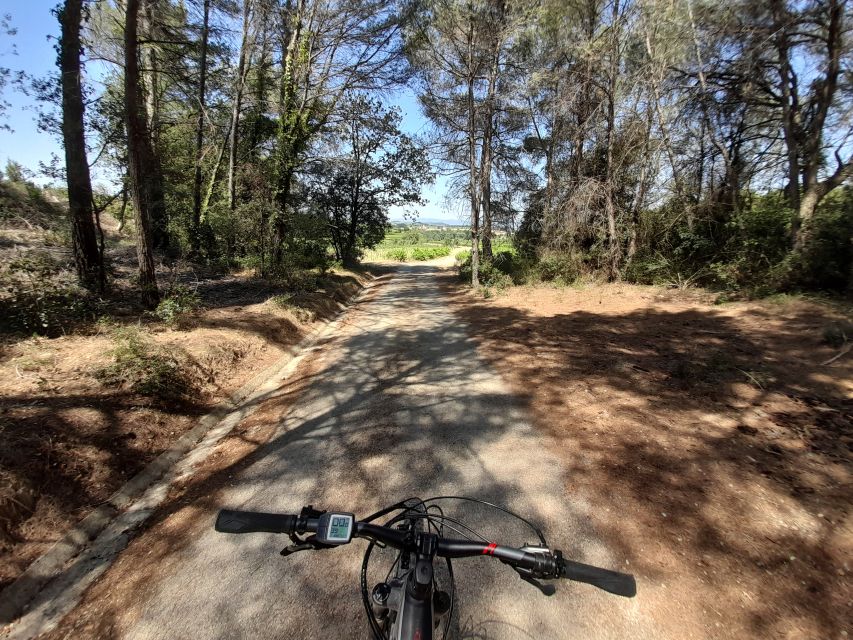 From Barcelona: Penedès E-Bike Tour with 2 Winery Visits - Price and value: what you get for about $94