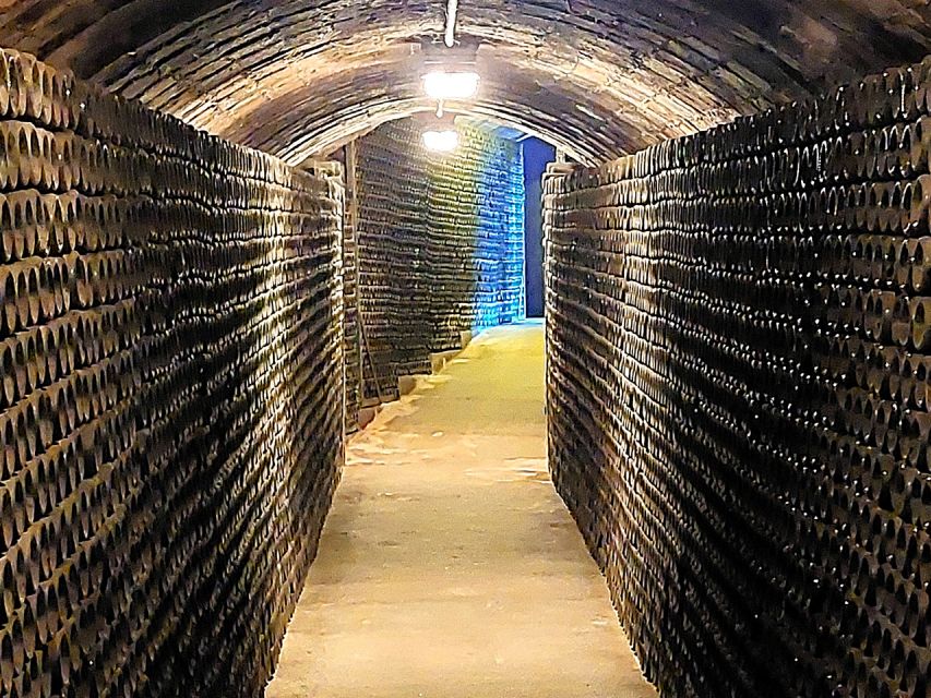 From Barcelona: Penedès E-Bike Tour with 2 Winery Visits - Who this Penedès e-bike wine tour is best for