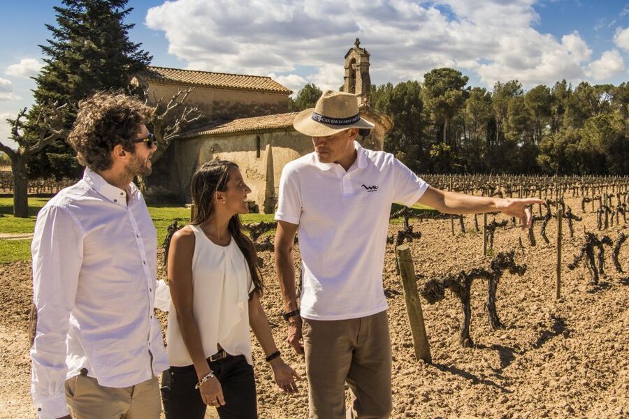 From Barcelona: Penedés Vineyards Tour by 4WD w/Wine & Cava - Pairing cheese and charcuterie the Catalan way