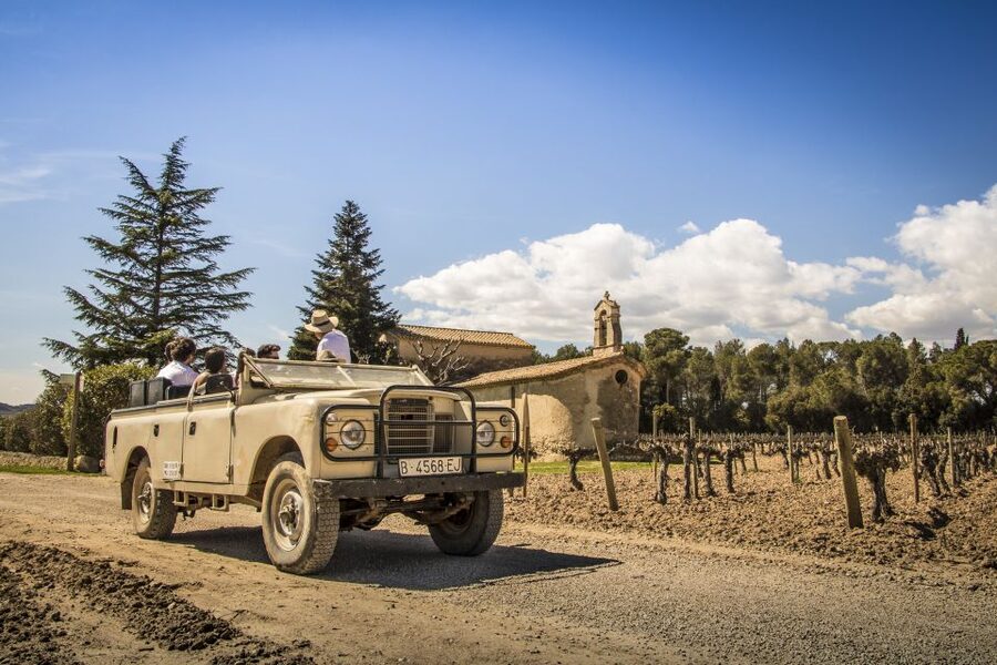 From Barcelona: Penedés Vineyards Tour by 4WD w/Wine & Cava - Who should book this Penedès day trip