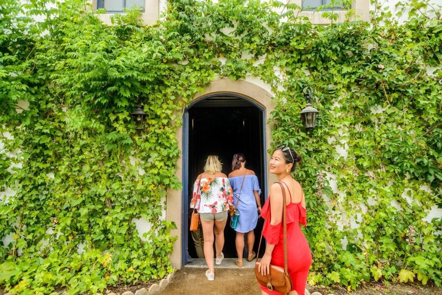 From Barcelona: Penedés Vineyards Tour by 4WD w/Wine & Cava - Should you book this Barcelona to Penedès tour?