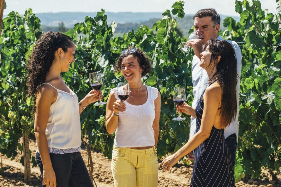 From Barcelona: Penedés Vineyards Tour by 4WD w/Wine & Cava - Can Bas wine estate: underground cellars and the 4x4 cut-through