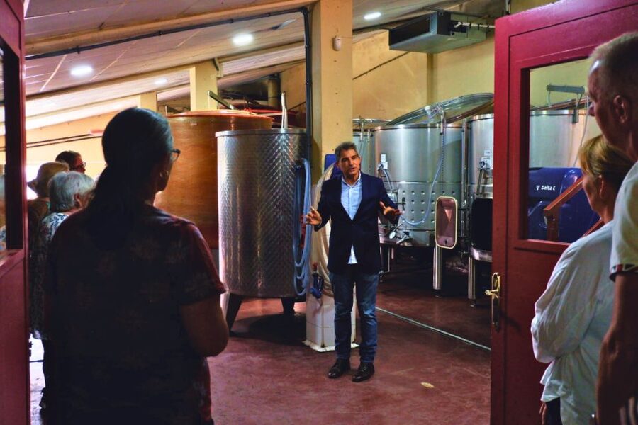 From Barcelona: Priorat's Exclusive Cellars, Wines & Nature - Key things I’d bank on before you go