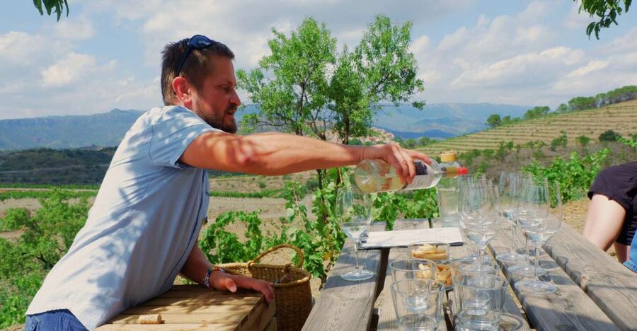 From Barcelona: Priorat's Exclusive Cellars, Wines & Nature - Guide and group size, why it feels personal without being precious