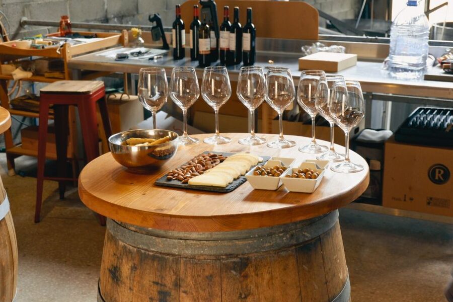 From Barcelona: Priorat's Exclusive Cellars, Wines & Nature - Price and value: is $877 per group really fair?