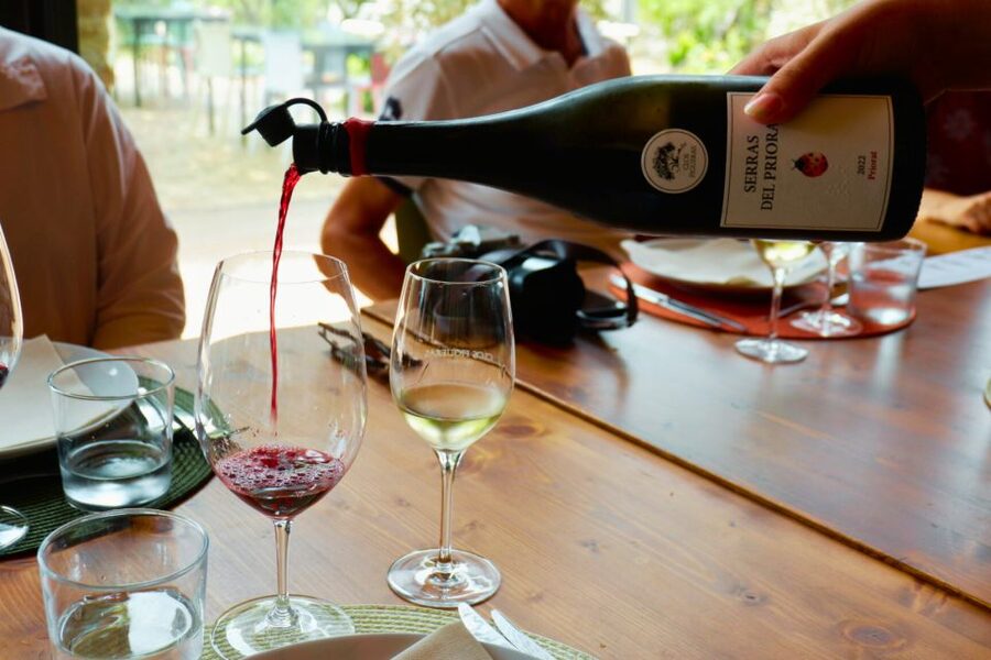 From Barcelona: Priorat's Exclusive Cellars, Wines & Nature - The van ride out of Barcelona sets your expectations