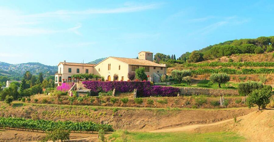 From Barcelona: Private Alella Wine Tour by Electric Bike - Key things to know before you go