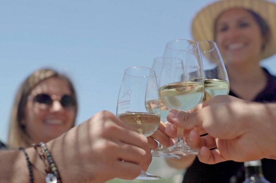 From Barcelona: Private Alella Wine Tour by Electric Bike - Who this tour suits best, and who should skip it