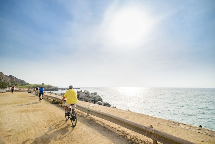 From Barcelona: Private Alella Wine Tour by Electric Bike - Why Alella is a smart wine choice from Barcelona