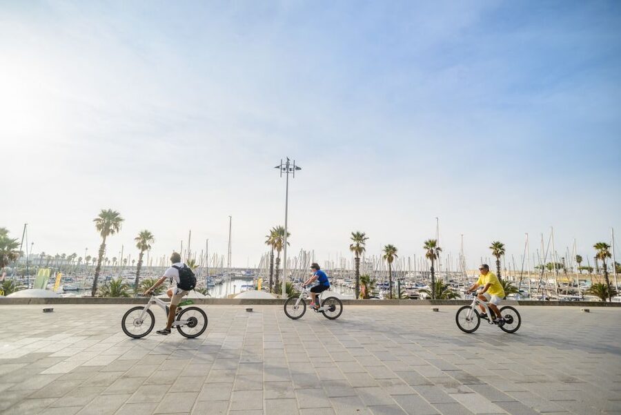 From Barcelona: Private Alella Wine Tour by Electric Bike - A sommelier’s 4-wine tasting: how to make it enjoyable