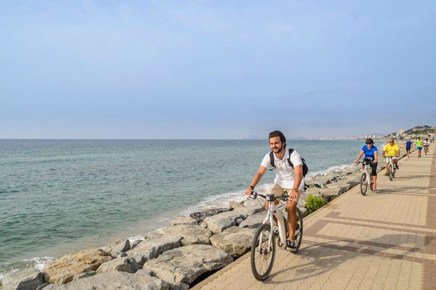 From Barcelona: Private Alella Wine Tour by Electric Bike - The vineyard picnic: local food, real time outdoors