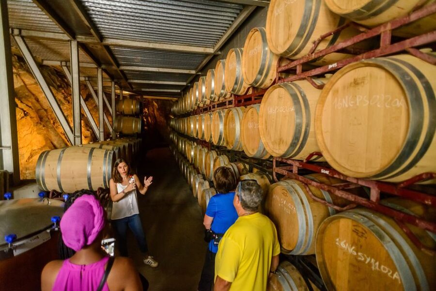 From Barcelona: Private Alella Wine Tour by Electric Bike - The return plan that saves your legs: train plus short bike segments