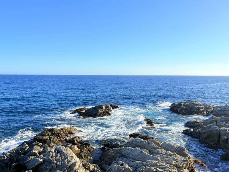 From Barcelona: Private Costa Brava Guided Tour - Key Highlights You’ll Actually Feel