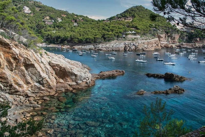 From Barcelona: Private Costa Brava Guided Tour - Tossa de Mar: Fortress Views That Make Photos Feel Easy