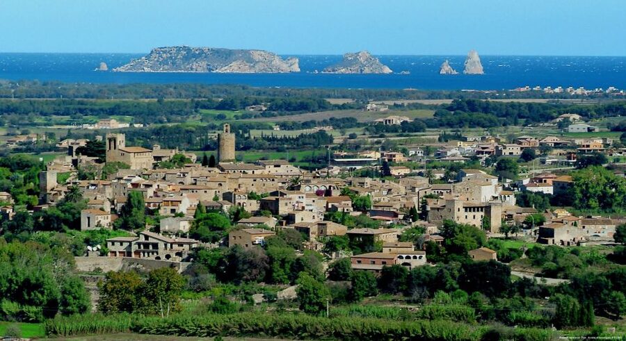 From Barcelona: Private Girona and Costa Brava Guided Tour - Price and Logistics: What $318 Buys You, and What You Still Need