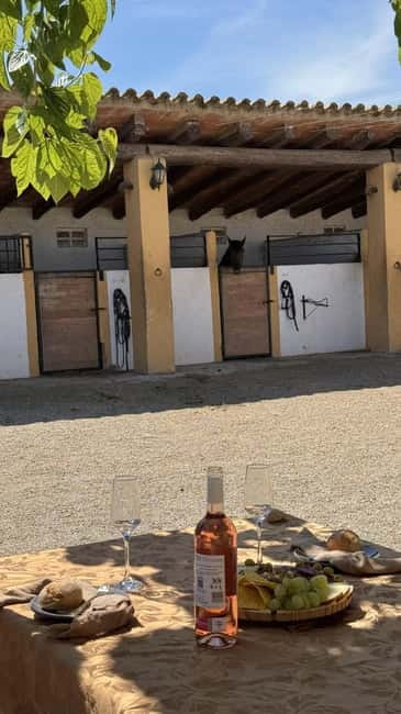 From Barcelona: PRIVATE Horseback Ride + Tapas + Picnic - On horseback in Penedès: the 1.5-hour guided ride