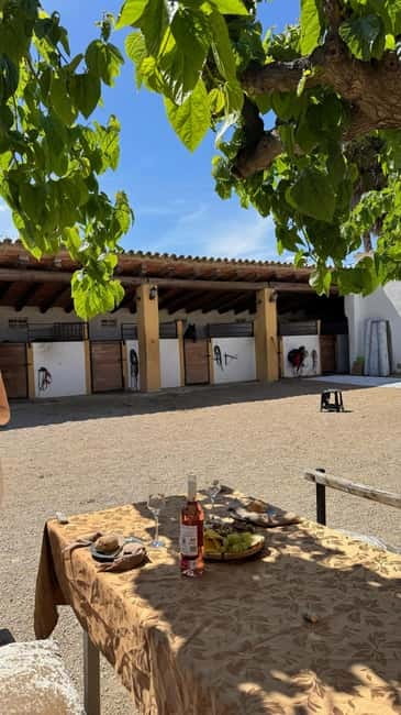 From Barcelona: PRIVATE Horseback Ride + Tapas + Picnic - Pica pica tapas in the countryside: small plates, big flavor
