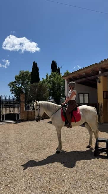 From Barcelona: PRIVATE Horseback Ride + Tapas + Picnic - Value and price: is $347 per person worth it?