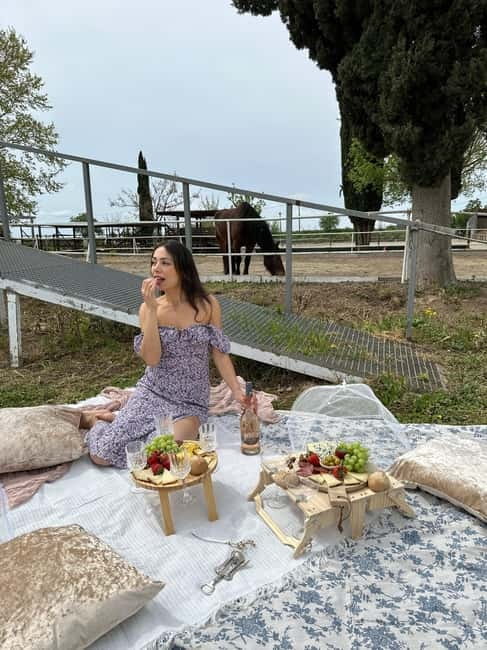 From Barcelona: PRIVATE Horseback Ride + Tapas + Picnic - Who this is best for (and who should skip it)