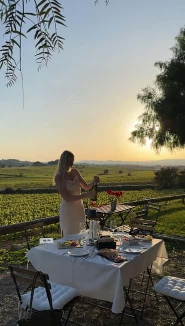 From Barcelona: PRIVATE Horseback Ride + Tapas + Picnic - The guide factor: names you might hear, and what to expect