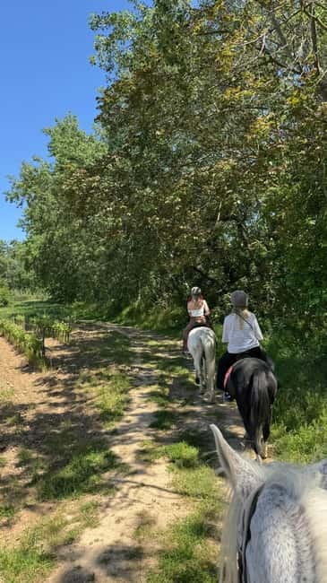 From Barcelona: PRIVATE Horseback Ride + Tapas + Picnic - The pick-up and transfer setup (and why it matters)