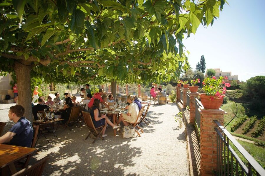 From Barcelona: Sailing and Wine Tasting Experience - Swimming in the Mediterranean: when it’s worth packing a swimsuit