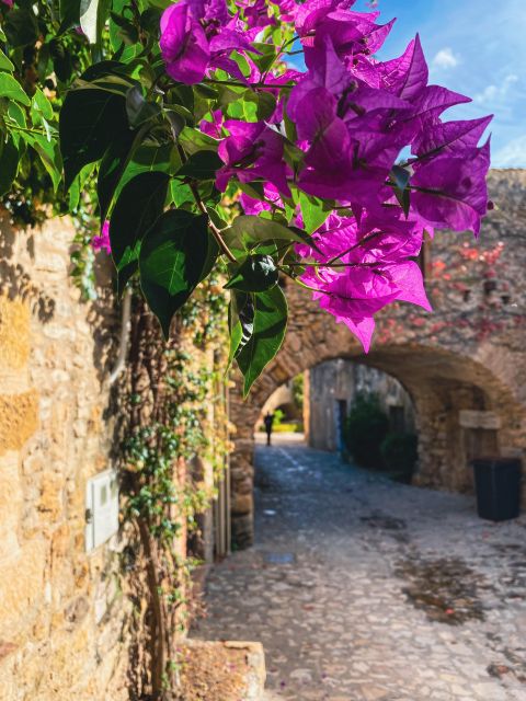 From Barcelona: Small-Group Tour Costa Brava & Dali Museum - Price and Value: Why $88 Can Make Sense